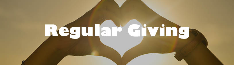 Regular Giving